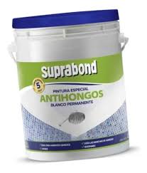 PINTURA ESPECIAL 1 LT ANTIHONG